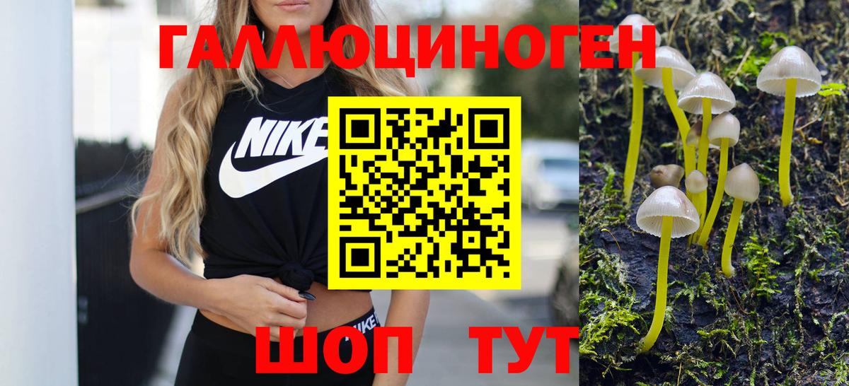 Грязи  Псилоцибиновые грибы Psilocybe  Вход с VPN 